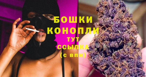 бошки Алзамай